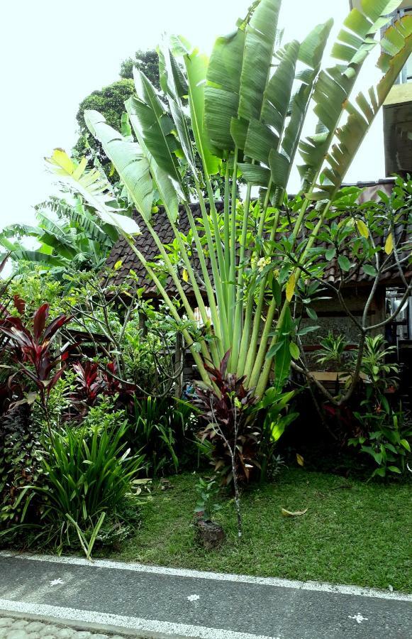 Dewa Put Guest House Ubud  Bagian luar foto